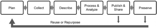 Flow chart showing a simplified data life cycle. Starts with Plan, then collect, then describe, then process and analyze, publish and share, ending with preserve.