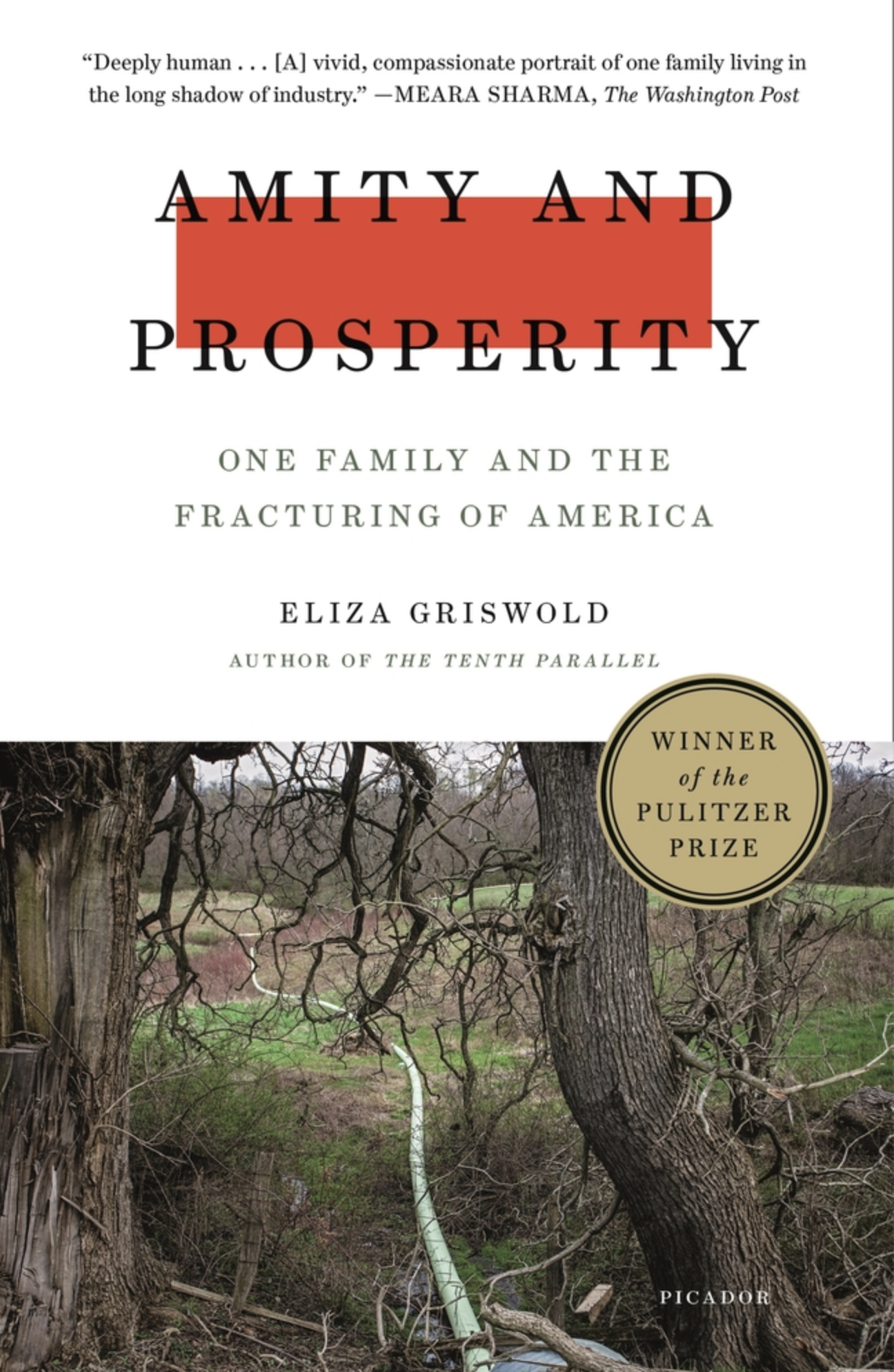 Book cover image of Amity and Prosperity