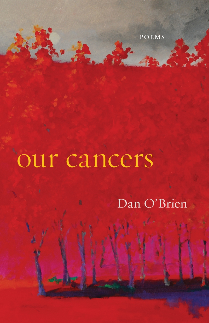 Our Cancers book cover