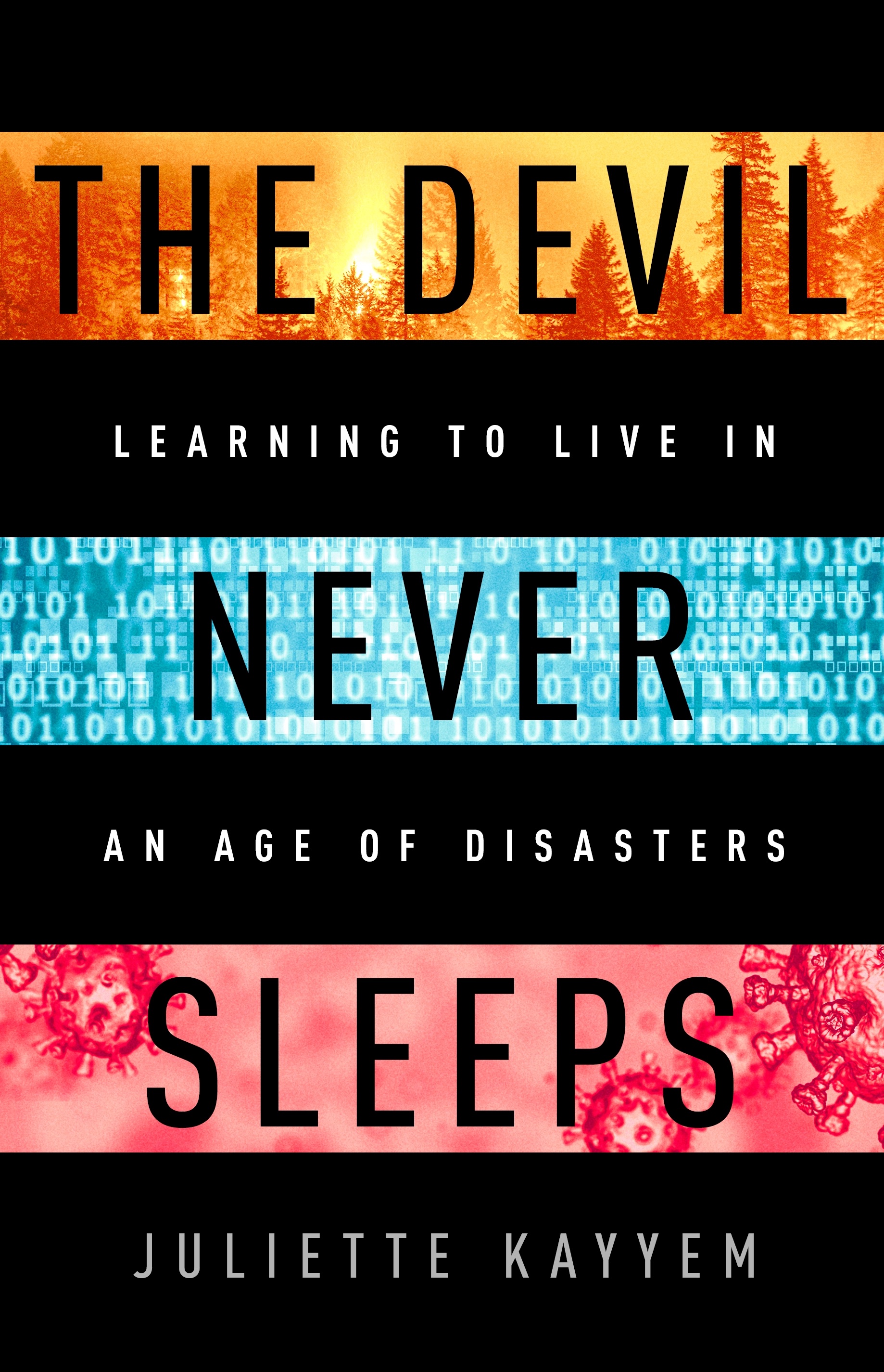 The Devil Never Sleeps book cover
