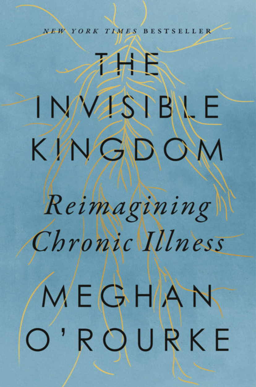 Invisible Kingdom book cover
