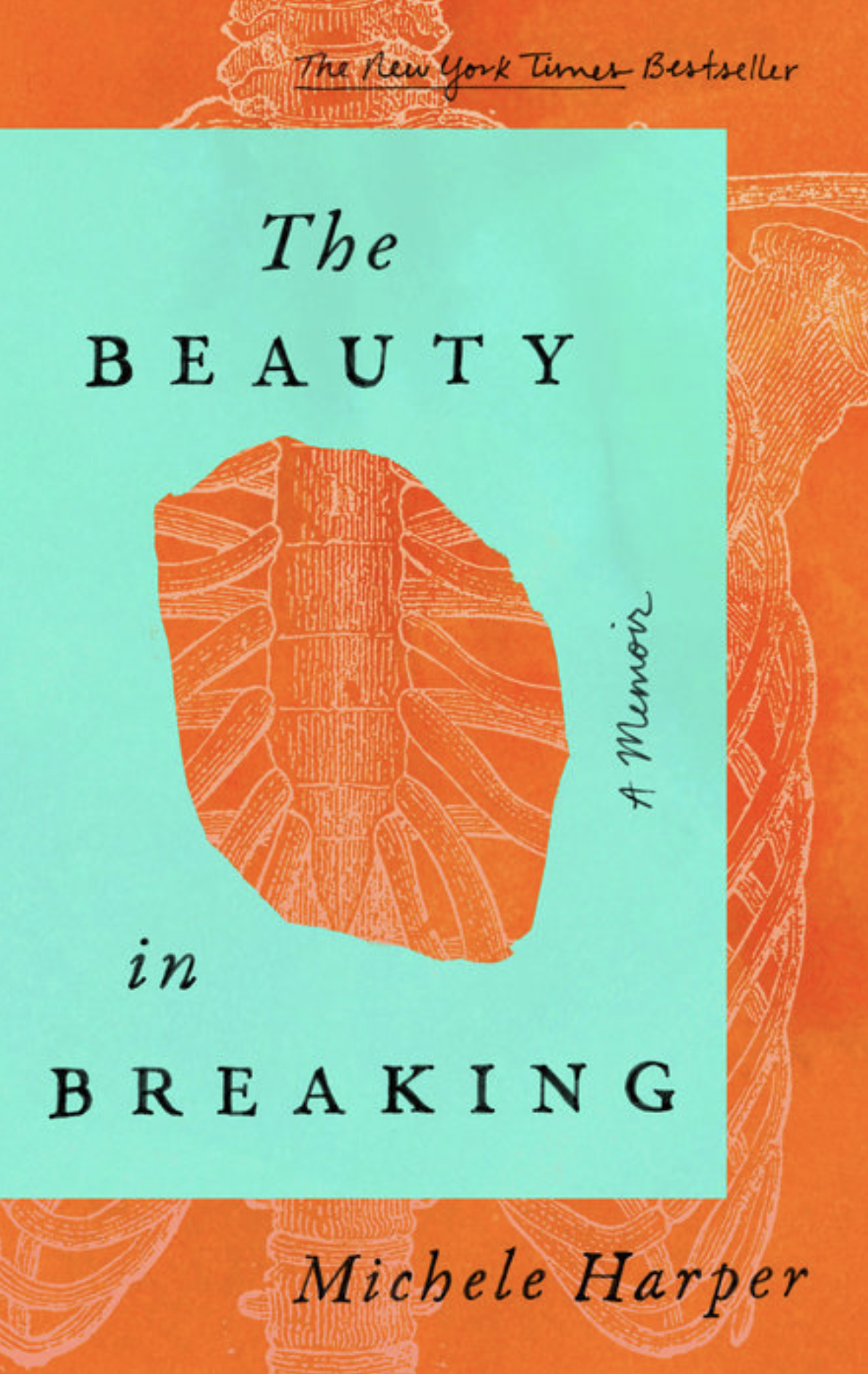 Beauty in Breaking book cover